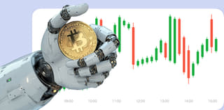 Dashboard view of the Crane Vestholt crypto exchange platform